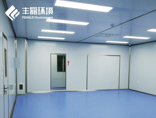 豐源環(huán)境 定制化食品廠潔凈工程技術(shù)服務(wù)的全方位解析